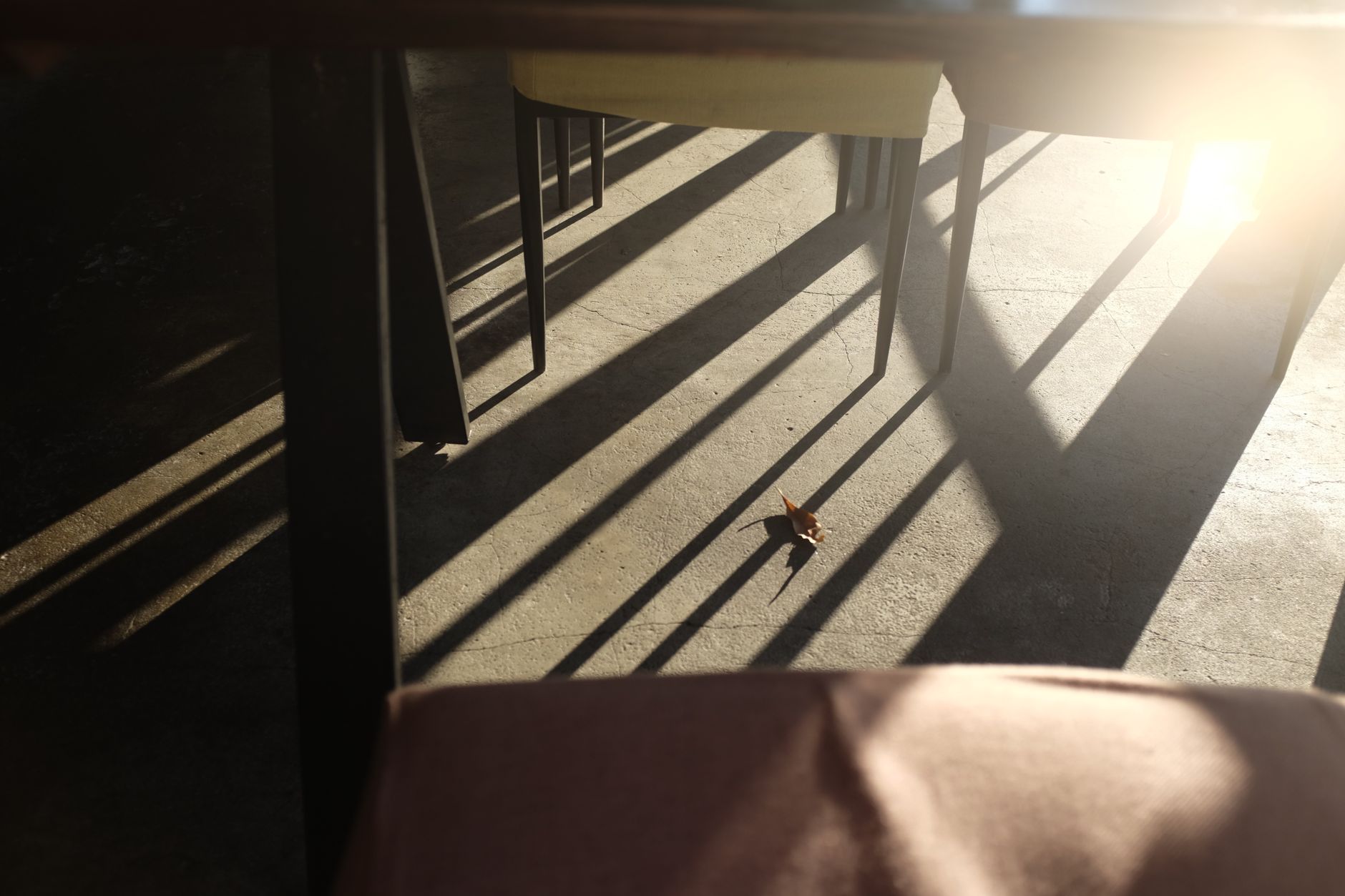 Café chairs casting long shadows across a sunlit floor
